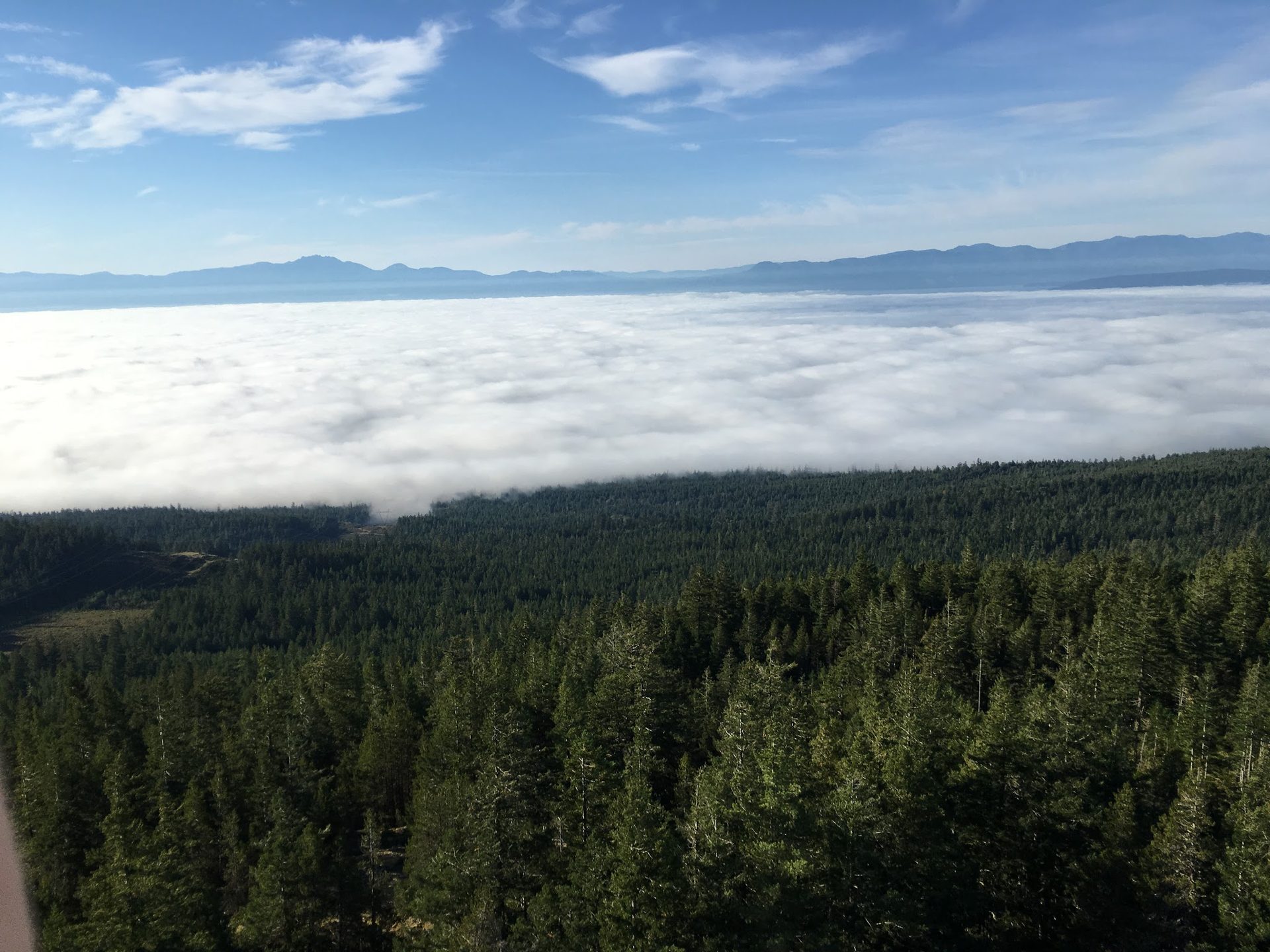 Above the clouds on a tower — the office for ten years